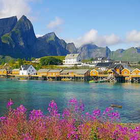 Sakrisoy dans les îles Lofoten sur Reinhard  Pantke