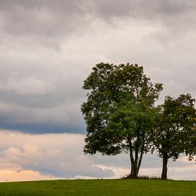 Bruder und Schwester von Roland Smanski