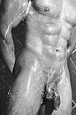 Sehr schöner nackter Mann, der in einer Dusche fotografiert wurde. #E0080 von william langeveld Miniaturansicht