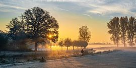 Eenzame fietser in een mistige landschap