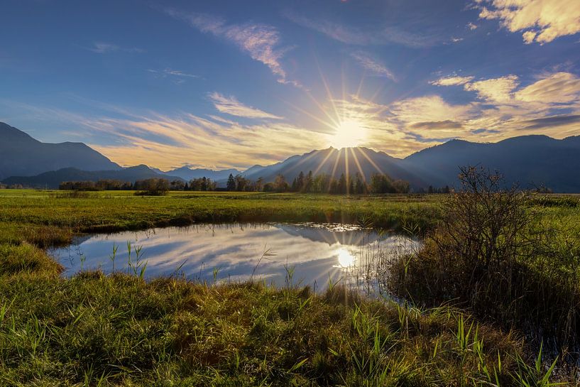 De laatste zonnestralen op het mosoog van Teresa Bauer
