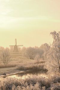 Windmill in a winter landscape at the river IJssel