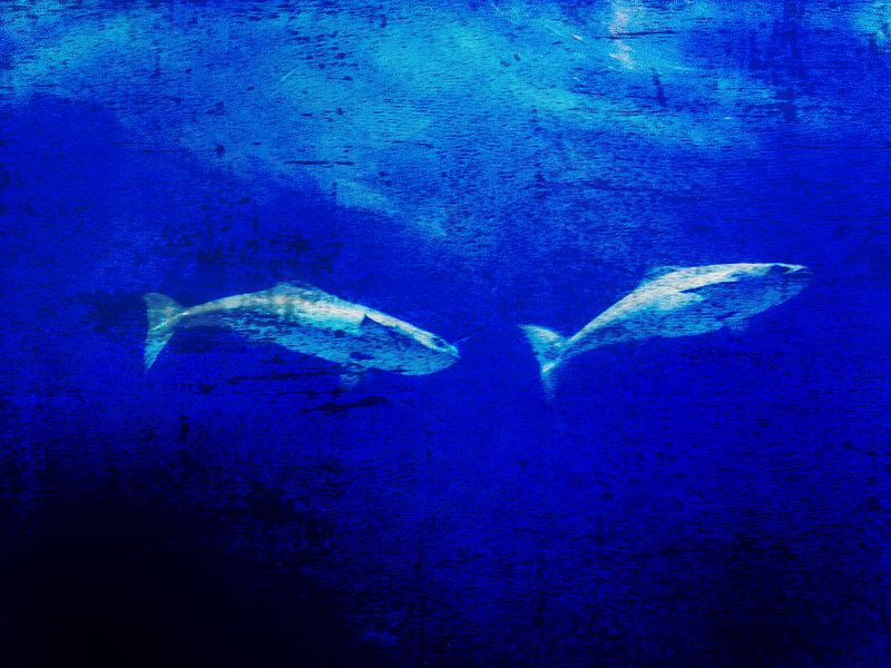 Deep blue ocean par Christiane Baur