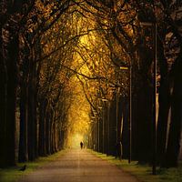 golden lane