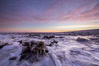 Grote ijsschotsen op de Waddenzee met een mooie zonsopkomst! van Peter Haastrecht, van thumbnail