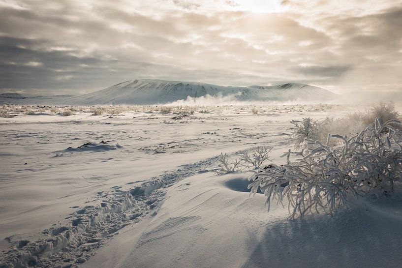 Hverfjell IJsland van Family Everywhere