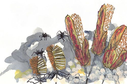 Botanische Banksia-spinnen
