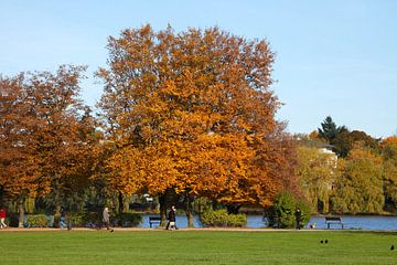 Alsterpark in de herfst, Hamburg, Duitsland van Torsten Krüger