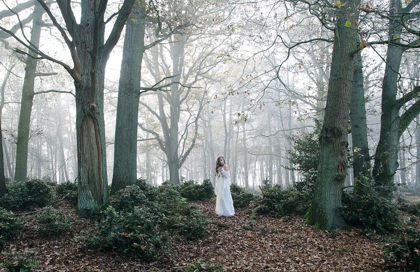 Witte Wieven I van Andrea Diepeveen-Loot
