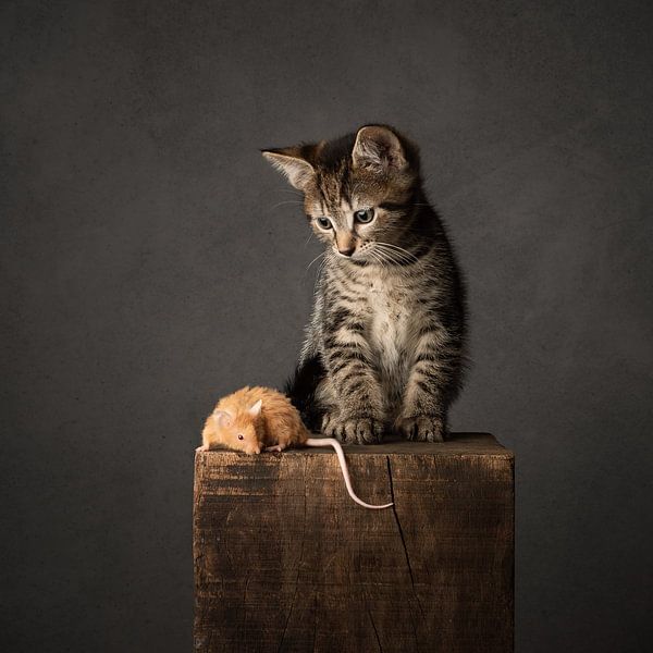 kat (kitten) en muis van Mariska Vereijken