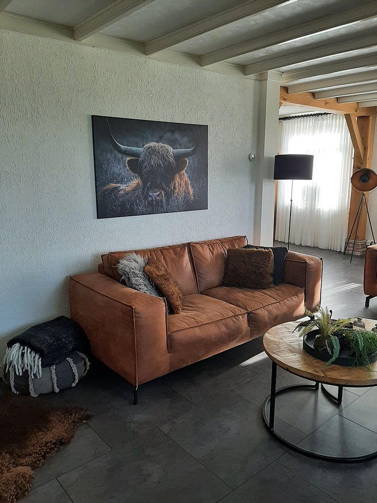 Scottish Highlander  by Jayzon Photo 