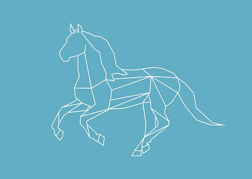 Horse - Graphic animals