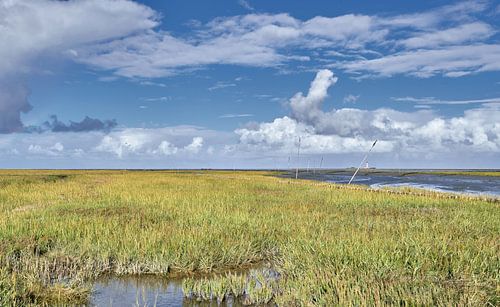 view from Tümlauer Koog on Eiderstedt peninsula to Westerhever Lighthouse at North Sea in North Frisia,Germany by Peter Eckert