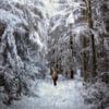 Winter's Tale by Claudia Moeckel