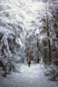 Winterverhaal van Claudia Moeckel