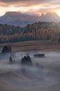 Dolomite sunrise von Markus Albert Miniaturansicht