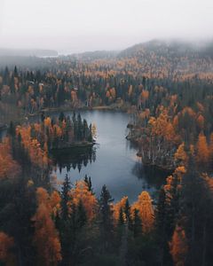 Blick auf den See im Herbst