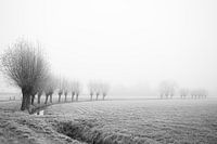 Winterlandschaft in den Niederlanden