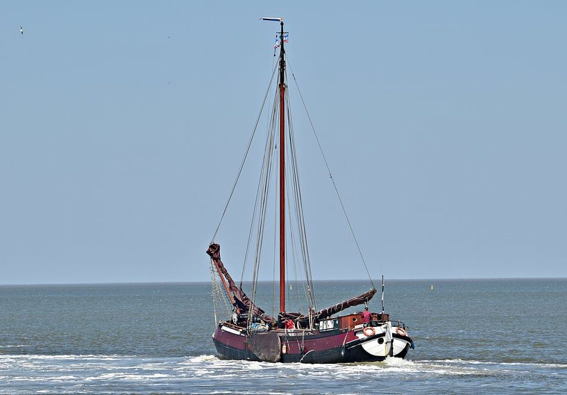 Het bruine vloot schip Balder van Piet Kooistra