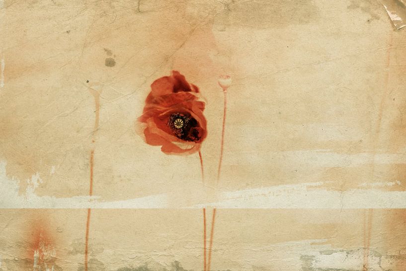 fragment by Desislava Ignatova