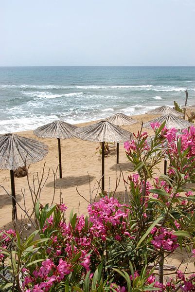 ocean view by Carmela Cellamare