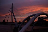 coucher de soleil sur le pont erasmus