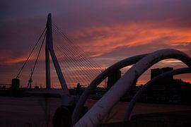 erasmus bridge sunset by Barry van Rijswijk