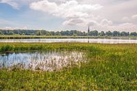 Nederlands landschap in het Markdal bij de stad Breda
