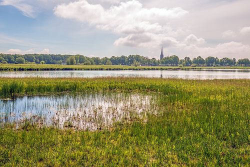 Niederländische Landschaft im Markdal in der Nähe der Stadt Breda von Ruud Morijn