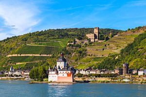 LE RHIN 01