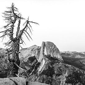 Yosemite National Park in black and white sur Jack Swinkels