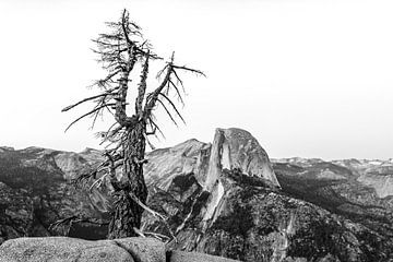 Yosemite National Park in black and white