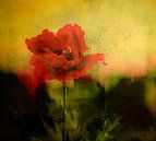 Poppy in landscape by Marijke van Loon thumbnail