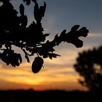 Herfstige zonsondergang