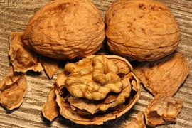 Nahaufnahme von Walnüssen auf dem Tisch von Udo Herrmann