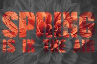 Spring is in the air