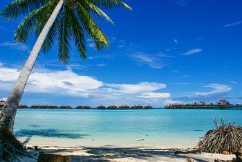 Mabul Island Resort, Borneo