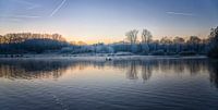 Oiseaux sur l'eau sur un matin tôt en Décembre