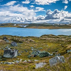 Hardangervidda van Fineblick