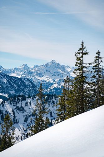 Winteruitzicht op de Hochvogel en de Allgäuer Alpen