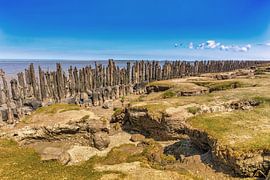 Mud hole the Netherlands by Marcel Kieffer