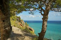 Blue Sea