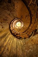 Vortex