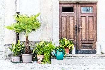 Planten bij de deur in Radovljica, Slovenië
