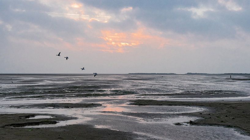 Bergeenden boven het strand van de Noordsvaarder par Floris van Woudenberg