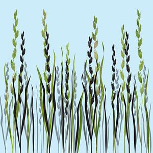 Ray-grass