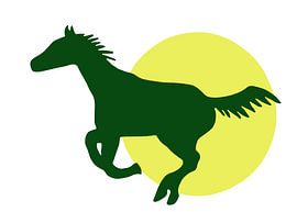 Pferd - Freund - Sonne