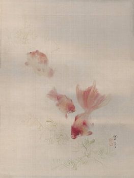 Watanabe Seitei - Poisson rouge (1887)