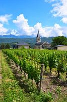 Church tower among green vineyards with snow-capped mountain peaks in the background