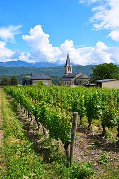 Kirchturm inmitten grüner Weinberge mit schneebedeckten Berggipfeln im Hintergrund von Studio LE-gals